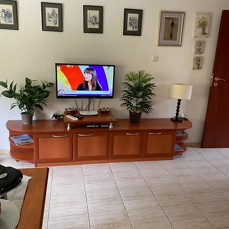Siana 1 سفيتي فلاس