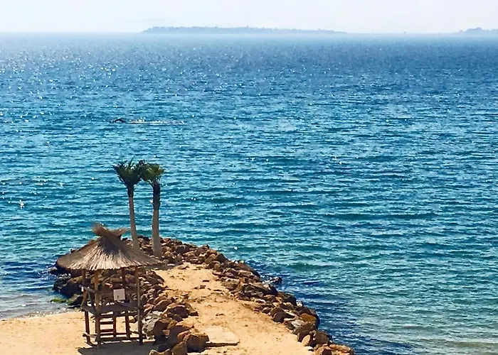 Siana 1 Апартамент Свети Влас