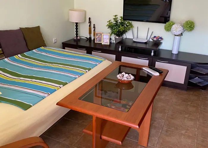 Siana 1 Apartament Sveti Vlas