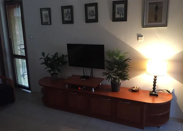 Apartament Siana 1 *